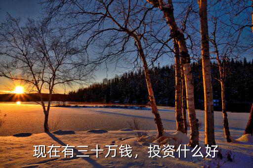 現(xiàn)在有三十萬錢，投資什么好
