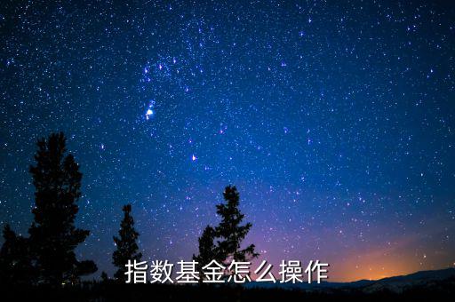 基金是怎么操作的,指數基金怎么操作