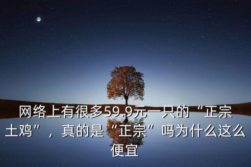 網(wǎng)絡(luò)上有很多59.9元一只的“正宗土雞”，真的是“正宗”嗎為什么這么便宜