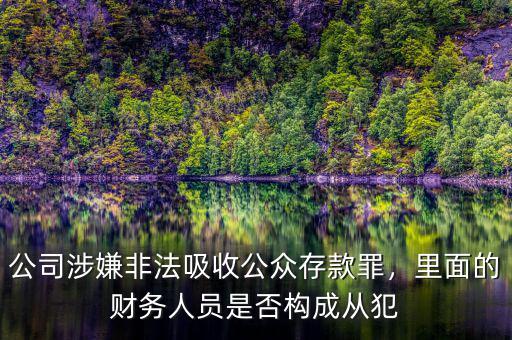 公司涉嫌非法吸收公眾存款罪，里面的財務人員是否構成從犯