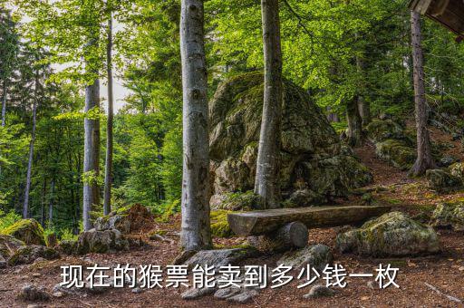 第四輪生肖猴票多少錢,80年四方聯(lián)猴票現在多少錢