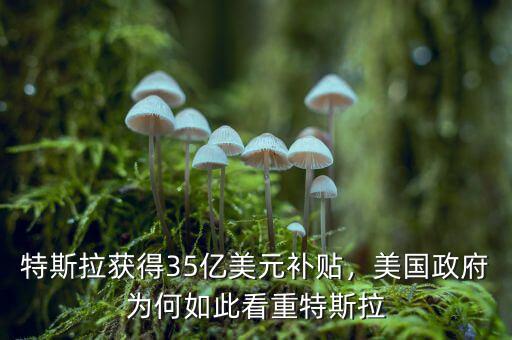 特斯拉獲得35億美元補(bǔ)貼，美國政府為何如此看重特斯拉