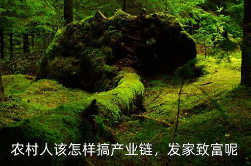 農(nóng)村人該怎樣搞產(chǎn)業(yè)鏈，發(fā)家致富呢