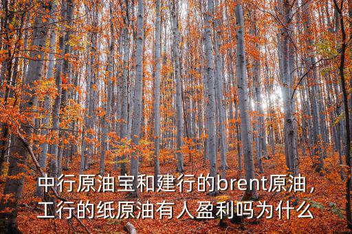 中行原油寶和建行的brent原油，工行的紙?jiān)陀腥擞麊釣槭裁? class=