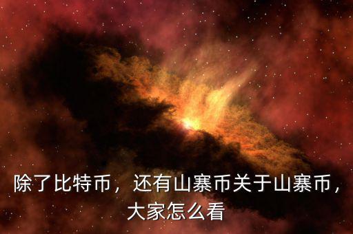 除了比特幣，還有山寨幣關(guān)于山寨幣，大家怎么看