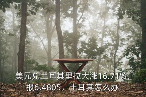 美元兌土耳其里拉大漲16.71%，報6.4805，土耳其怎么辦