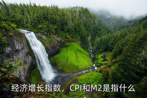 經(jīng)濟(jì)增長指數(shù)，CPI和M2是指什么
