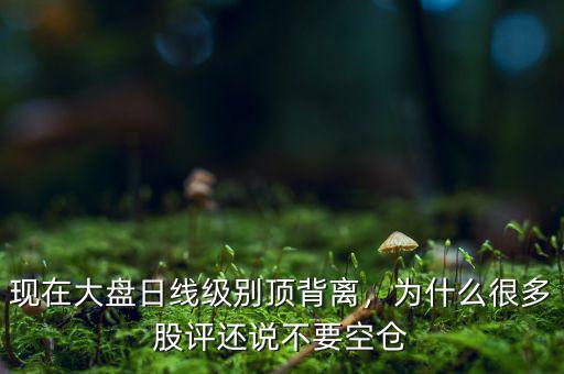 現(xiàn)在大盤日線級別頂背離，為什么很多股評還說不要空倉