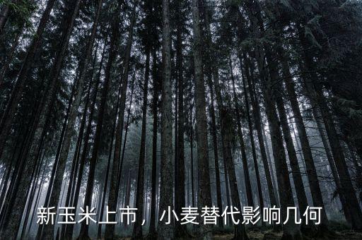 新玉米上市，小麥替代影響幾何