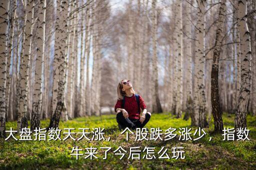 大盤(pán)指數(shù)天天漲，個(gè)股跌多漲少，指數(shù)牛來(lái)了今后怎么玩