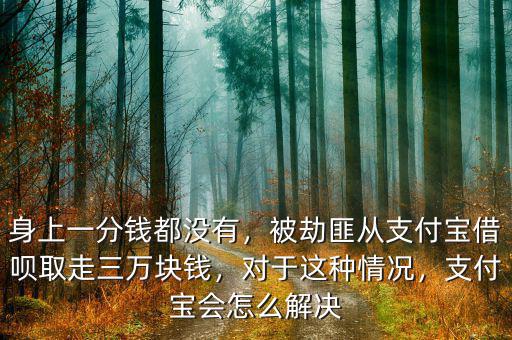 身上一分錢都沒有，被劫匪從支付寶借唄取走三萬塊錢，對于這種情況，支付寶會怎么解決