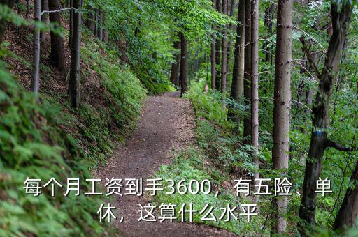 每個月工資到手3600，有五險、單休，這算什么水平