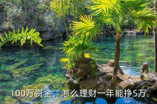 100萬資金，怎么理財一年能掙5萬