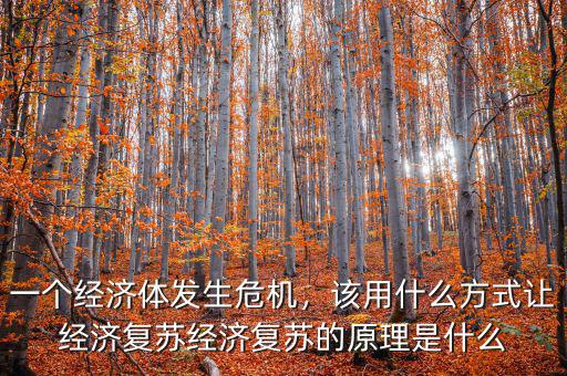 一個經(jīng)濟體發(fā)生危機，該用什么方式讓經(jīng)濟復蘇經(jīng)濟復蘇的原理是什么