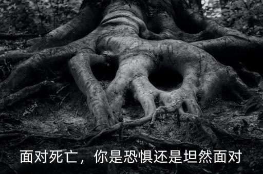 面對(duì)死亡，你是恐懼還是坦然面對(duì)