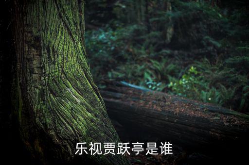 樂視賈躍亭是誰(shuí)