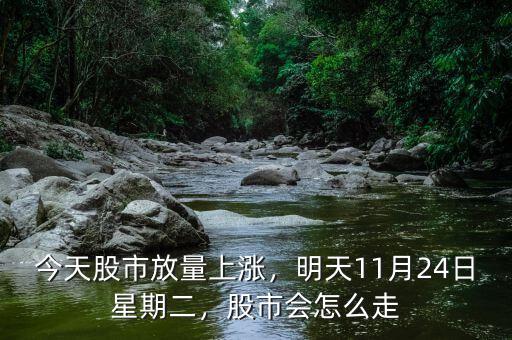 今天股市放量上漲，明天11月24日星期二，股市會怎么走
