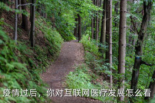 疫情過后，你對互聯(lián)網(wǎng)醫(yī)療發(fā)展怎么看