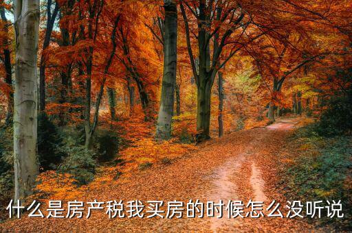 什么是房產(chǎn)稅我買房的時(shí)候怎么沒聽說(shuō)