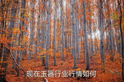 玉器行情什么時候好轉,現在玉器行業(yè)行情如何
