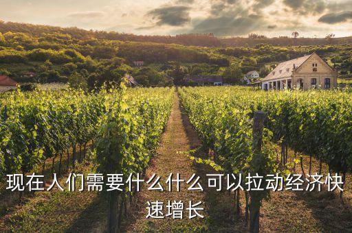 現(xiàn)在人們需要什么什么可以拉動經(jīng)濟快速增長
