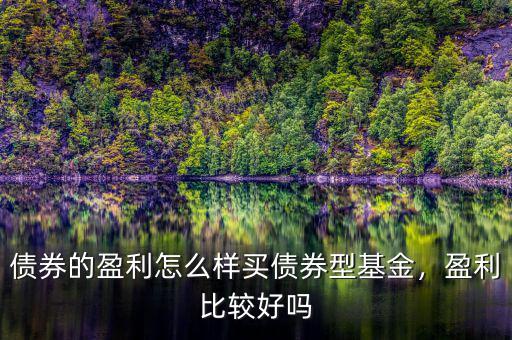債券的盈利怎么樣買債券型基金，盈利比較好嗎