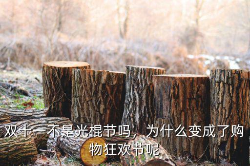 雙十一不是光棍節(jié)嗎，為什么變成了購物狂歡節(jié)呢