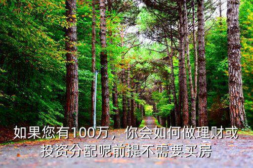 如果您有100萬，你會(huì)如何做理財(cái)或投資分配呢前提不需要買房