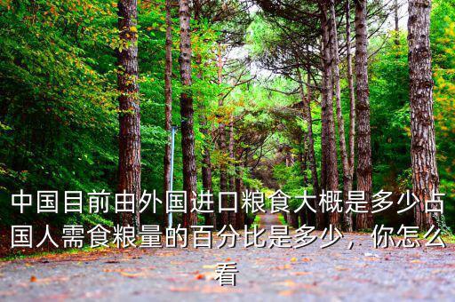 中國目前由外國進口糧食大概是多少占國人需食糧量的百分比是多少，你怎么看