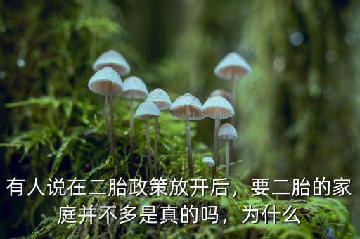 有人說在二胎政策放開后，要二胎的家庭并不多是真的嗎，為什么