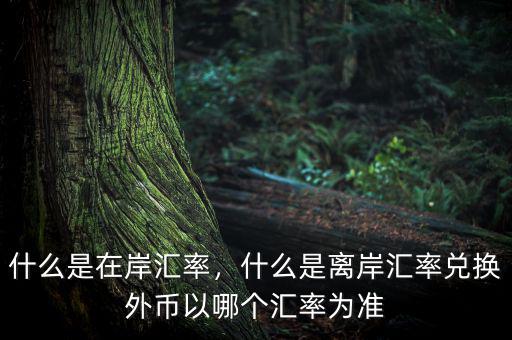 什么是在岸匯率，什么是離岸匯率兌換外幣以哪個(gè)匯率為準(zhǔn)