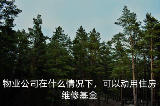 物業(yè)公司在什么情況下，可以動用住房維修基金