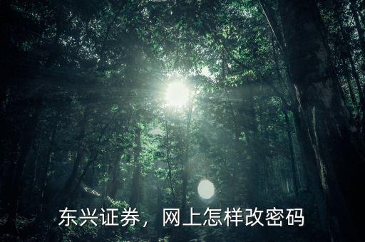 東興證券，網(wǎng)上怎樣改密碼