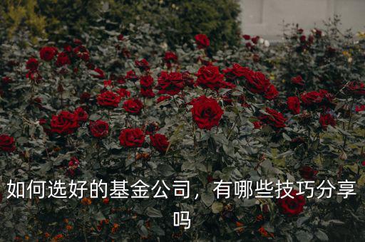 如何選好的基金公司，有哪些技巧分享嗎