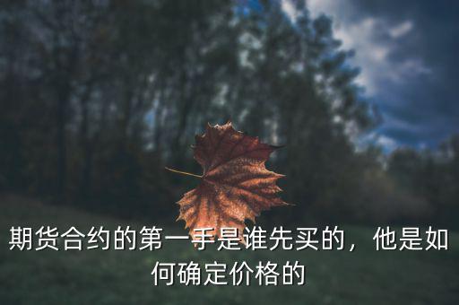 期貨合約的第一手是誰(shuí)先買(mǎi)的，他是如何確定價(jià)格的