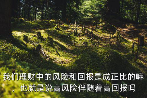 我們理財(cái)中的風(fēng)險(xiǎn)和回報(bào)是成正比的嘛，也就是說高風(fēng)險(xiǎn)伴隨著高回報(bào)嗎