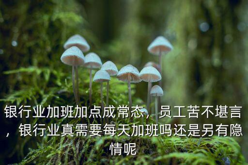 銀行業(yè)加班加點(diǎn)成常態(tài)，員工苦不堪言，銀行業(yè)真需要每天加班嗎還是另有隱情呢