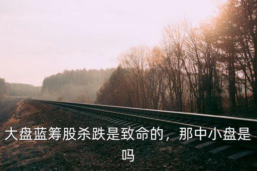 大盤(pán)藍(lán)籌股殺跌是致命的，那中小盤(pán)是嗎