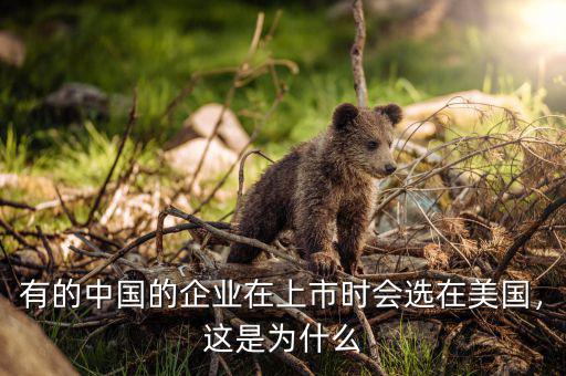 有的中國的企業(yè)在上市時會選在美國，這是為什么