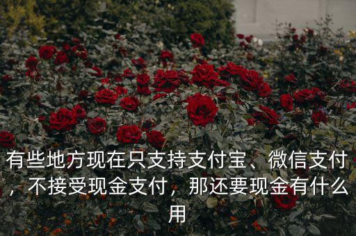 有些地方現(xiàn)在只支持支付寶、微信支付，不接受現(xiàn)金支付，那還要現(xiàn)金有什么用