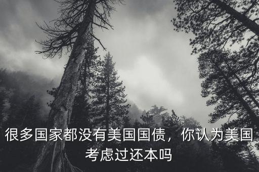 很多國家都沒有美國國債，你認為美國考慮過還本嗎