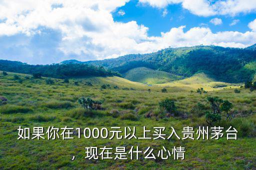 如果你在1000元以上買入貴州茅臺，現(xiàn)在是什么心情