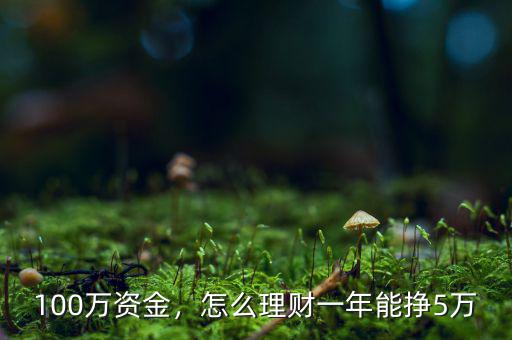 100萬資金，怎么理財一年能掙5萬