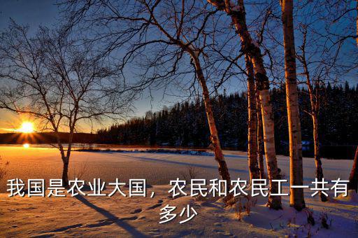 我國是農(nóng)業(yè)大國，農(nóng)民和農(nóng)民工一共有多少