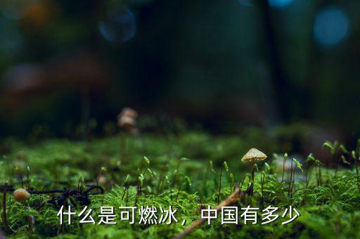 什么是可燃冰，中國(guó)有多少
