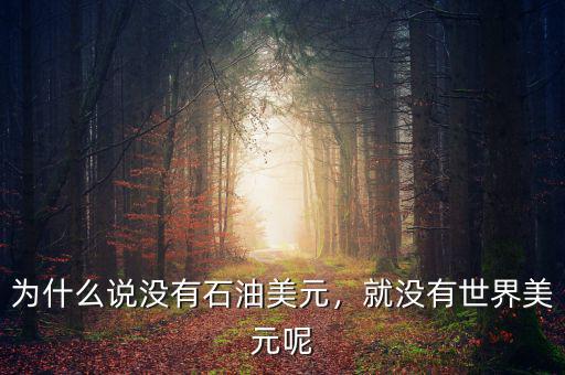 為什么說(shuō)沒(méi)有石油美元，就沒(méi)有世界美元呢