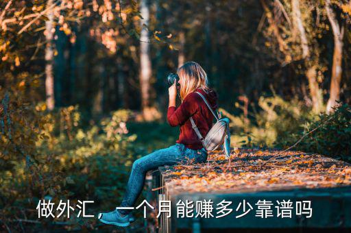 做外匯，一個(gè)月能賺多少靠譜嗎
