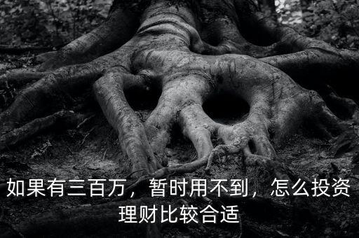 如果有三百萬，暫時(shí)用不到，怎么投資理財(cái)比較合適