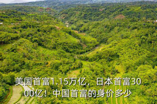 美國首富1.15萬億，日本首富3000億！中國首富的身價(jià)多少