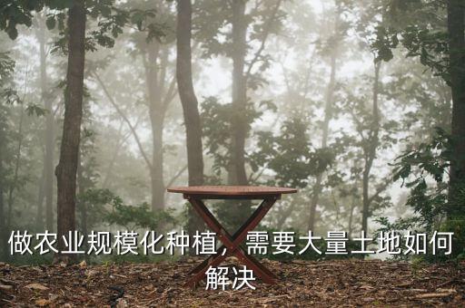 什么是土地規(guī)?；?jīng)營(yíng),規(guī)?；?jīng)營(yíng)有哪些好處